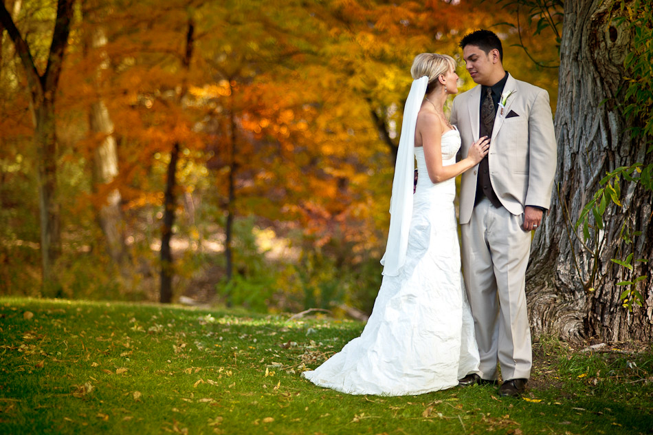 Небольшая свадьба золотой осенью